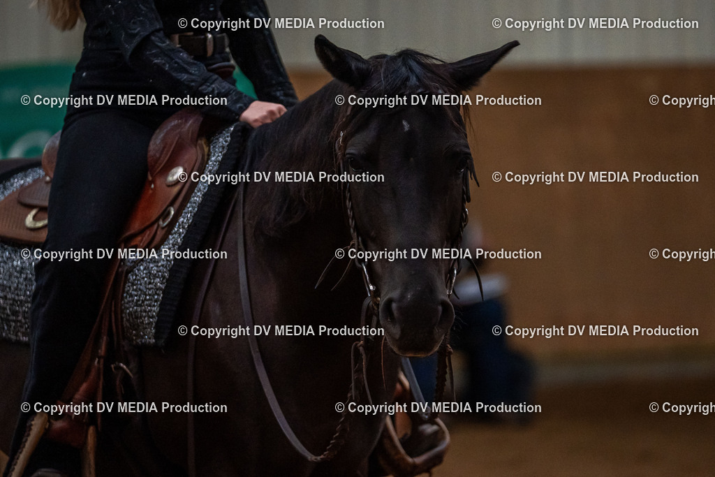 Neckargemünd Tag 3-139 | dv-media-shop - Realisiert mit Pictrs.com