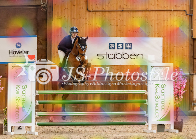 20260221_03_Springpferdeprfg KlL115-231 | JS-Photostyle - Sport-/Portrait- & Eventfotografie