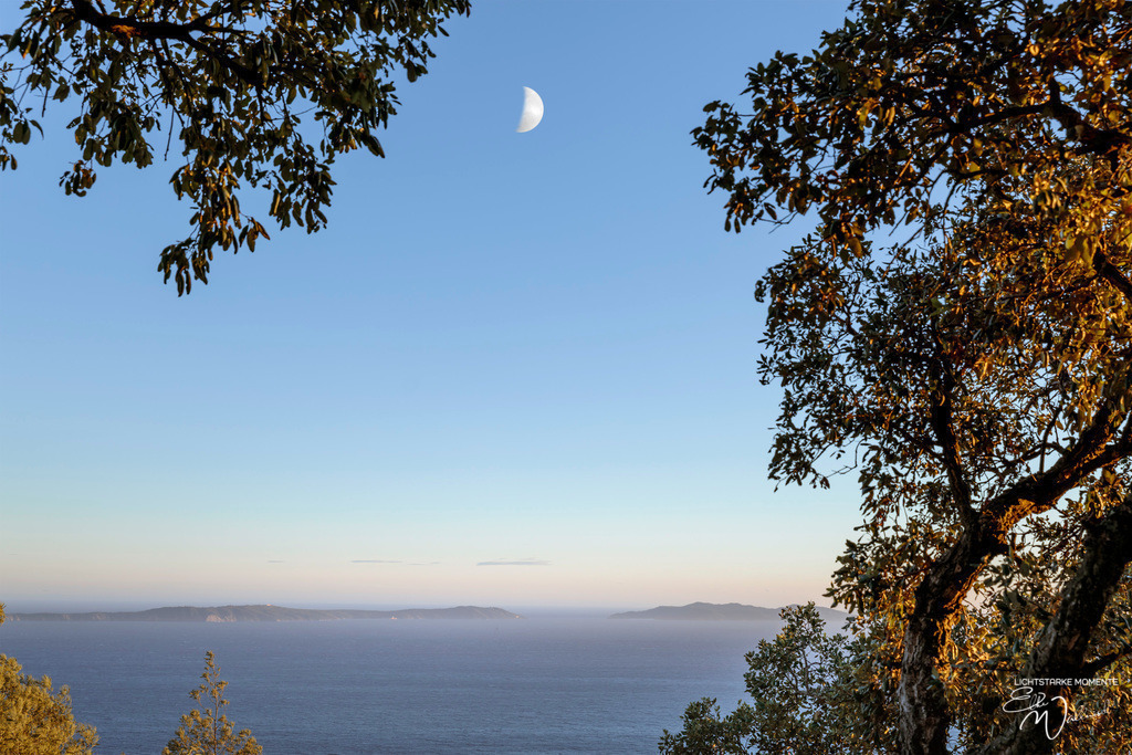Blick auf Cavalaire-sur-Mer | Herzlich willkommen auf meiner Seite! Ich bin Elke Wallnisch, Deine Fotografin für lichtstarke Momente. Der Name steht für alles, was mich mit der Fotografie verbindet: Das Licht und seine machtvolle Wirkung auf eine Situation oder unsere Stimmung - Realisiert mit Pictrs.com