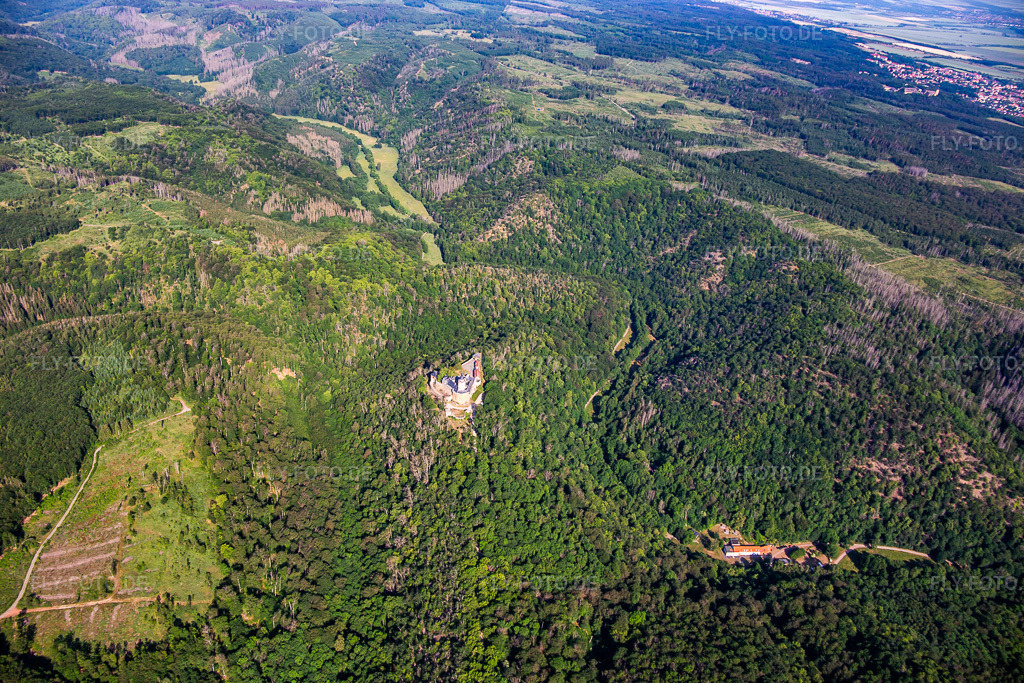 Luftbild: Burg Falkenstein (Harz) im Ortsteil Pansfelde in Falkenstein im Bundesland Sachsen-Anhalt in Deutschland. Foto: IMG_136751.jpg vom 18.06.2023 durch Werner Riehm/FLY-FOTO.deBurg Falkenstein - Kulturstiftung Sachsen-Anhalt