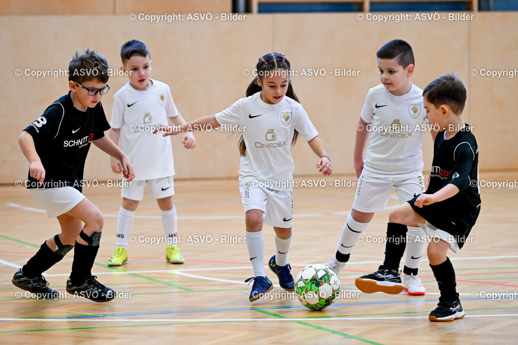 ASVÖ_ Fussballturnier SV Gallneukirchen_ 08.02.2025-32 | 08.02.2025, Gallneukirchen, AUT, ASVÖ, Fussball Nachwuchs Hallenturnier 2025, SV Gallneukirchen im Bild Teilnehmer U 7©Harald Dostal / fodo.media - Realisiert mit Pictrs.com