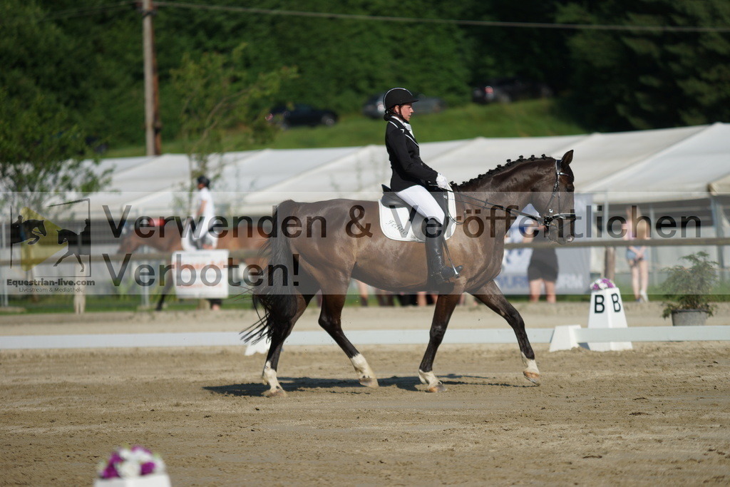 DSC04153 | equestrian-live-com