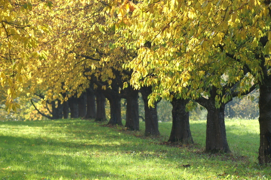 PICT0396 | klausulrichmoeller