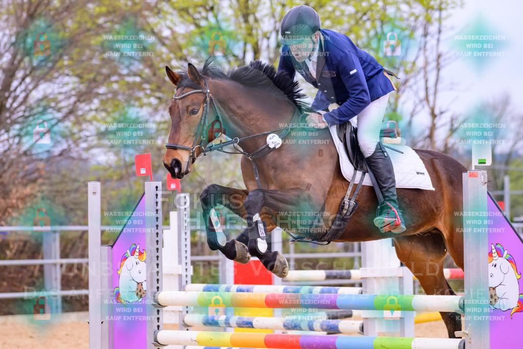 10042026-Mammendorf-Prfg17-0742 | Fokus Hufschlag Fotografie - Realisiert mit Pictrs.com