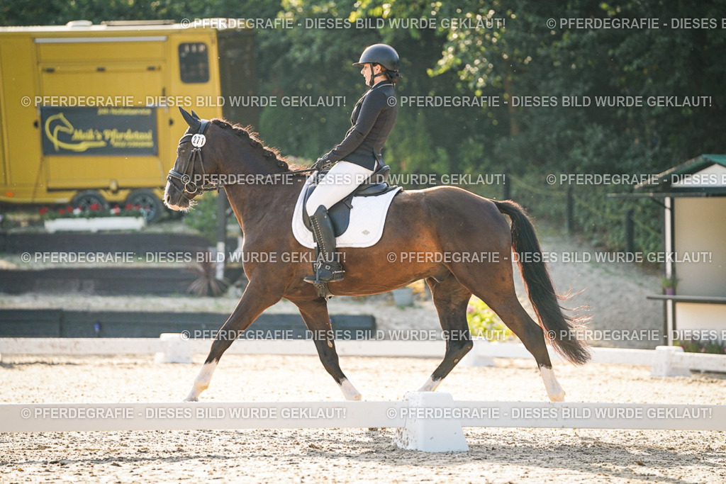 DSC07855 | Pferdegrafie