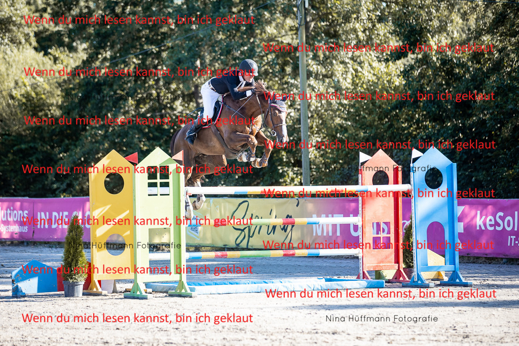 BK1A8571 | Turnierbilder Turnierfotos Nina Hüffmann Turnierfotografie Pferdefotografie Tierzeichnung Haustierzeichnung Pferdezeichnung Hundezeichnung Videograf  - Realisiert mit Pictrs.com