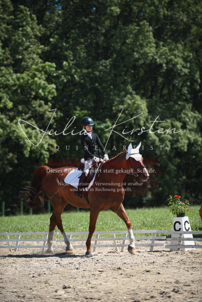 DSC_2179 | Pferde- und Turnierfotografie in Westsachsen. Pferdeportraits, Auftragszeichnungen und intuitive Kunst.
