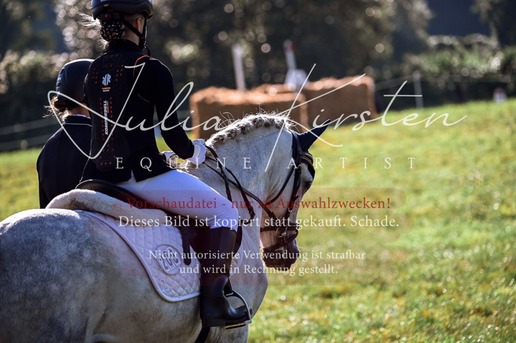 DSC_0422 | Pferde- und Turnierfotografie in Westsachsen. Pferdeportraits, Auftragszeichnungen und intuitive Kunst.