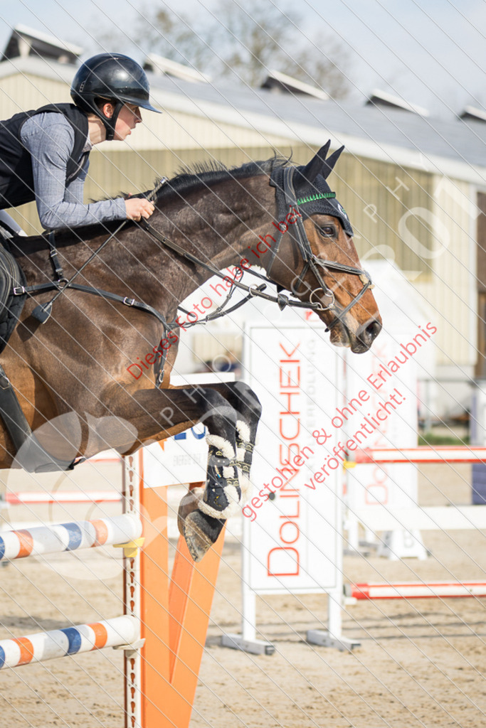 IMG_3915 | Sport-, Event- und Tierfotos in Profiqualität. Einfach auswählen, bestellen und herunterladen. Dein Moment – perfekt festgehalten.