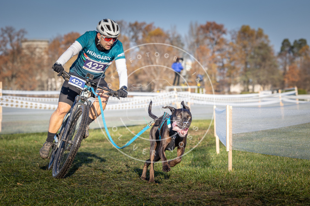 CaniXpix_0L8A4177 | Hundefotografie, Tierfotograf, Pfotenfotografie, Fotoshooting Hund, Hunde Portrait, Hundesport, Hundeportraits, Heideshooting, Hunde, Sportfotograf, Hundefotograf, Turnierhundsport, THS,  - Realisiert mit Pictrs.com