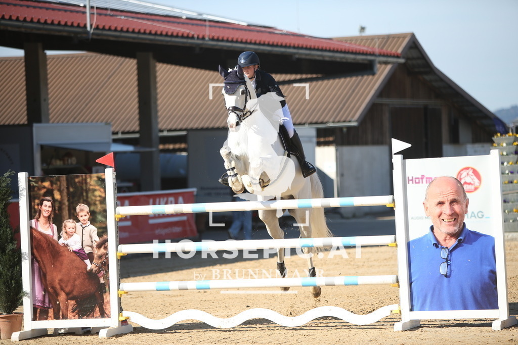 PP015633 | Willkommen bei Brunnmayr - Design & Fotografie – Ihrem Spezialisten für Reitturniere und Pferdeveranstaltungen in Oberösterreich, Salzburg und Bayern! Seit über 17 Jahren sind wir leidenschaftlich dabei.