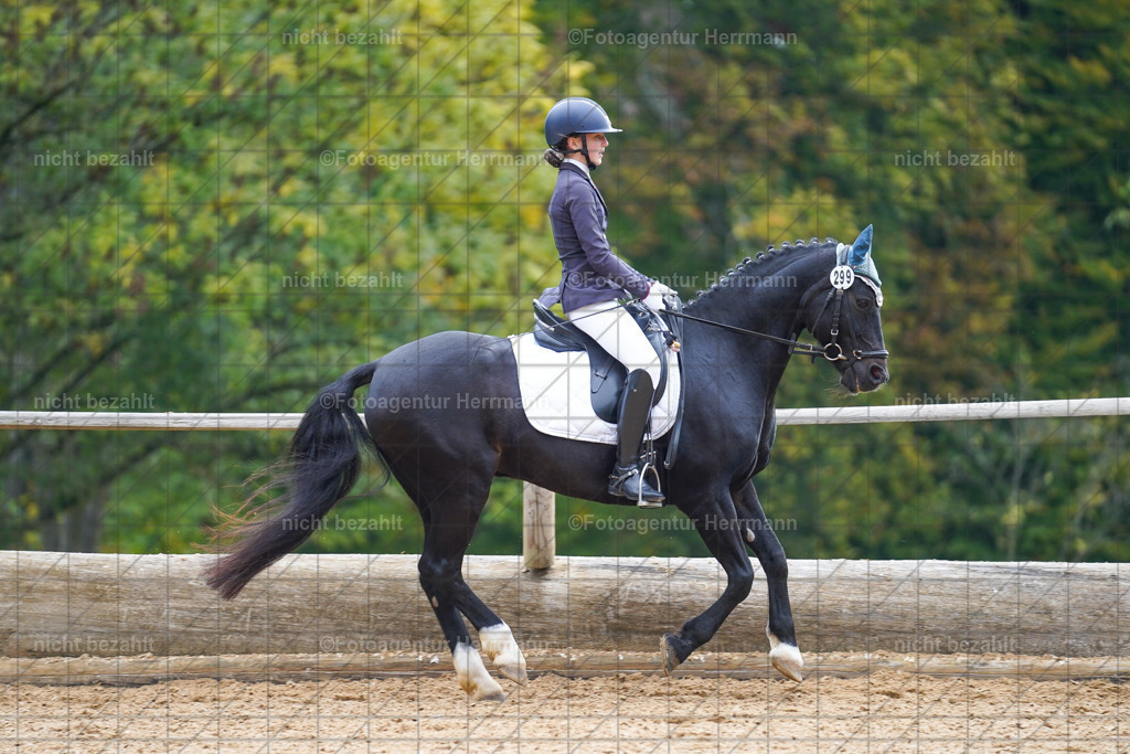 20221008-FAH01017 | Diessen am Ammersee, 2022, Dressur- und Springturnier, Reitsportbilder, Turnierfotografen Bayern, Pferdefotografen, Fotoagentur Herrmann, Turnierbilder
