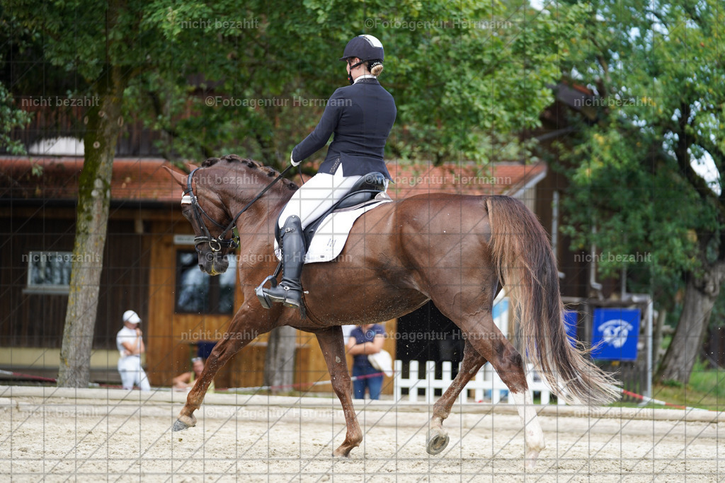 20230826-FAH05570 | Forstinning, 2023, Dressurturnier, Turniersportbilder, Turnierfotografen Bayern, Fotoagentur Herrmann, Reitsportfotografie, Turnierbilder