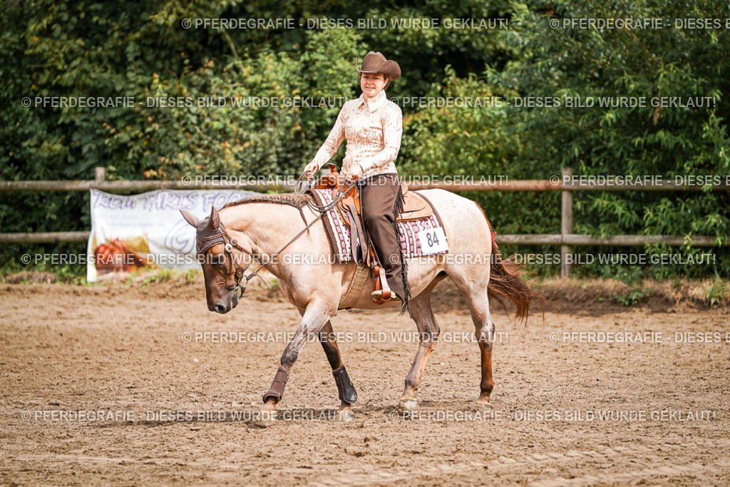 DSC04658 | Pferdegrafie