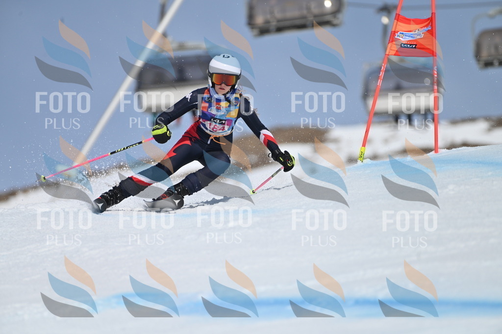 BGV_0684 | holidayphoto