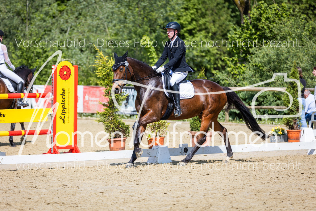 Donop24-L-Dre-071 | MomenTaufnahmen Pferdesportfotos