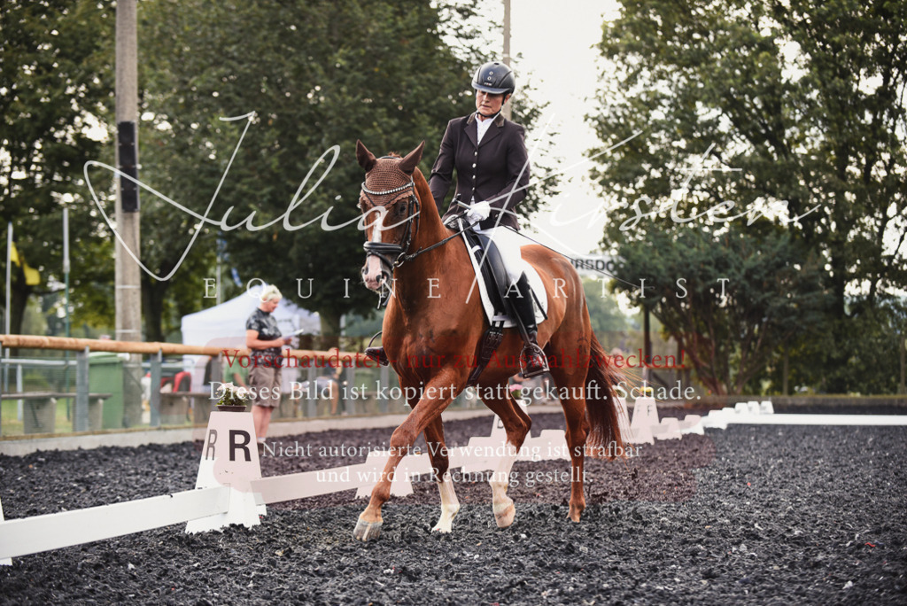 DSC_4004 | Pferde- und Turnierfotografie in Westsachsen. Pferdeportraits, Auftragszeichnungen und intuitive Kunst.
