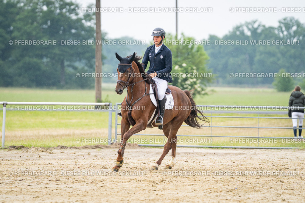 DSC00718 | Pferdegrafie