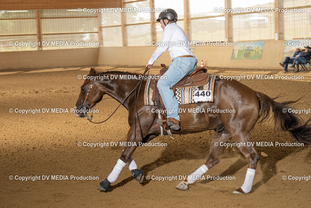 LAU01762 | dv-media-shop - Realisiert mit Pictrs.com