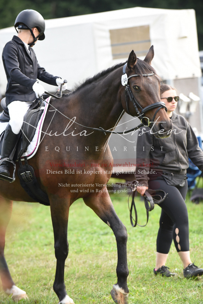 DSC_8610 | Pferde- und Turnierfotografie in Westsachsen. Pferdeportraits, Auftragszeichnungen und intuitive Kunst.