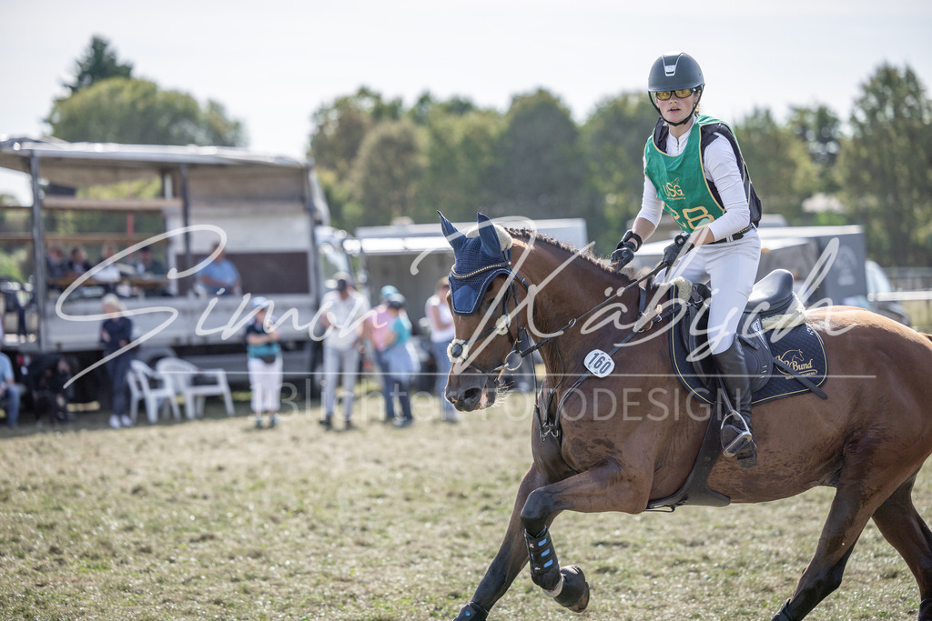 20250907-_3LI2975 | Tierfotografie Pferde, Hunde, Katzen, Haustiere.
Turnierfotografie Reitturniere, Reiten, Springreiten, Dressur in Hanau, dem Main-Kinzig-Kreis und dem Rhein-Main- Gebiet um Frankfurt