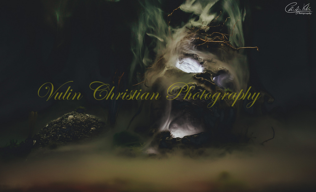 TK 4 | Christian Vulin  - Realisiert mit Pictrs.com