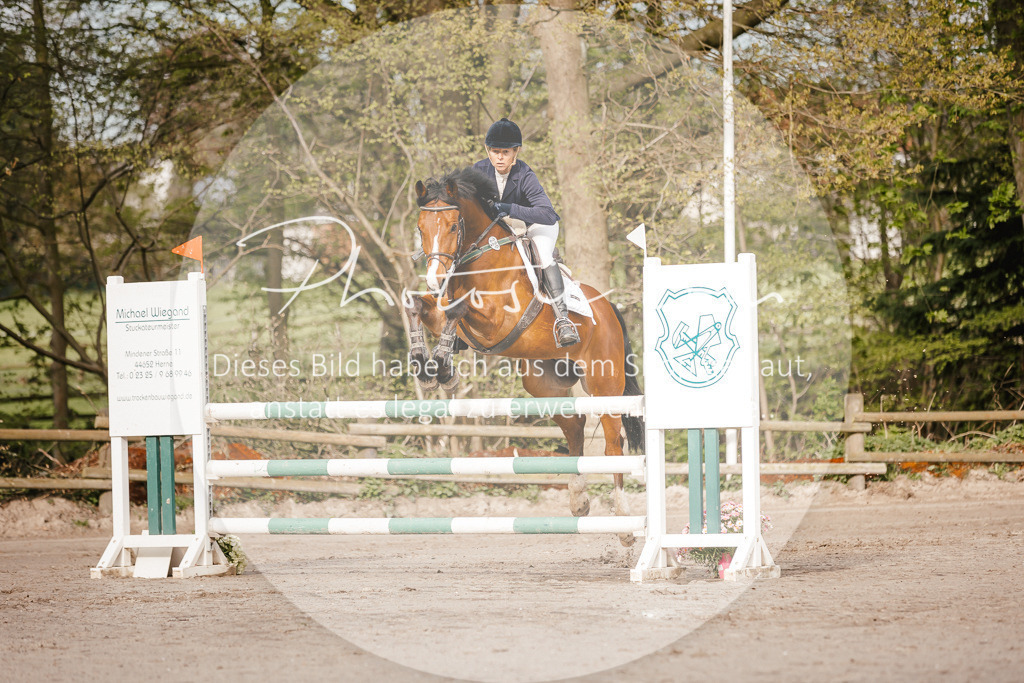 3I6A3233 | Stimmungsvolle Portraits und Reitsportfotografie im Ruhrgebiet und im Münsterland.

Pferdefotografie, Hundefotografie, Tierfotografie, Reportagen, Portraits von Tier und Mensch, Turnierfotografie in Bochum, Recklinghausen, Marl, Haltern am See, Dülmen.. - Realisiert mit Pictrs.com