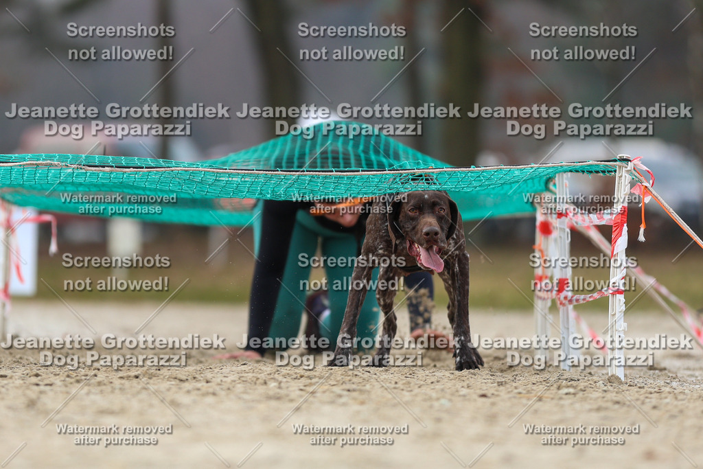 Dog Paparazzi - Strongdog North Mrz26-4504 | Dog Paparazzi Jeanette Grottendiek Fotografie & Videografie - Realisiert mit Pictrs.com