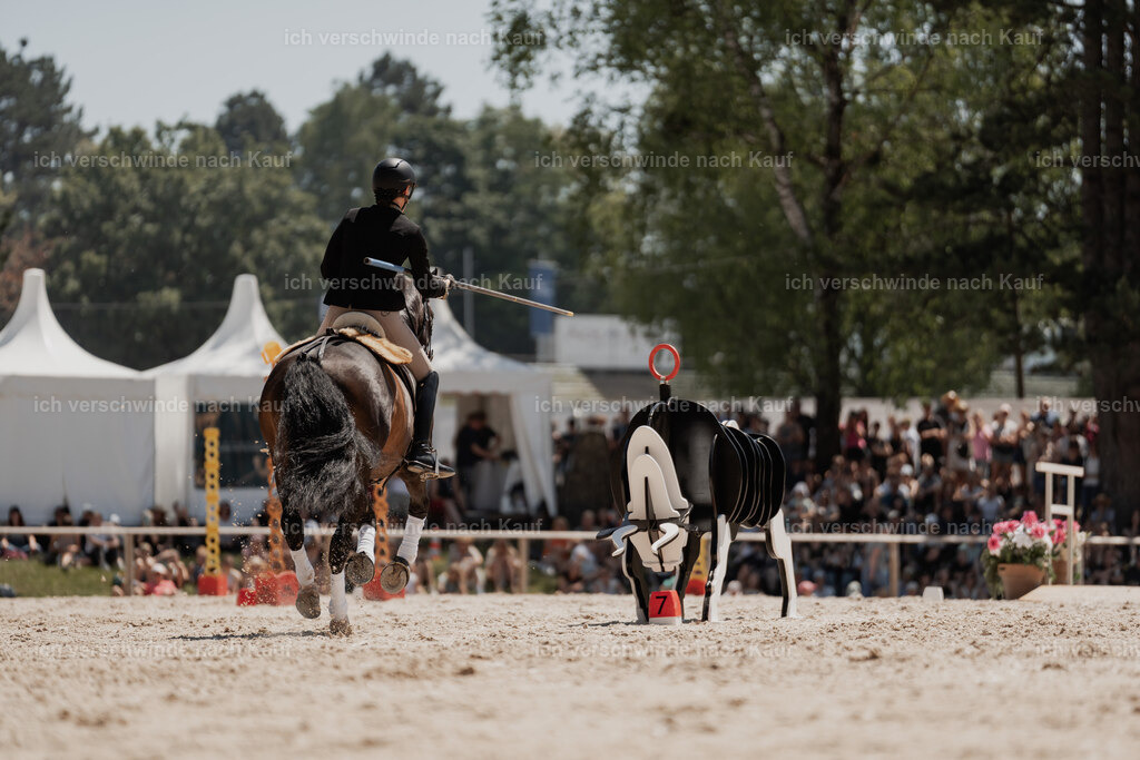 WE_SP_Stoib_330_PI2025_1991 | Pferd International München 2025