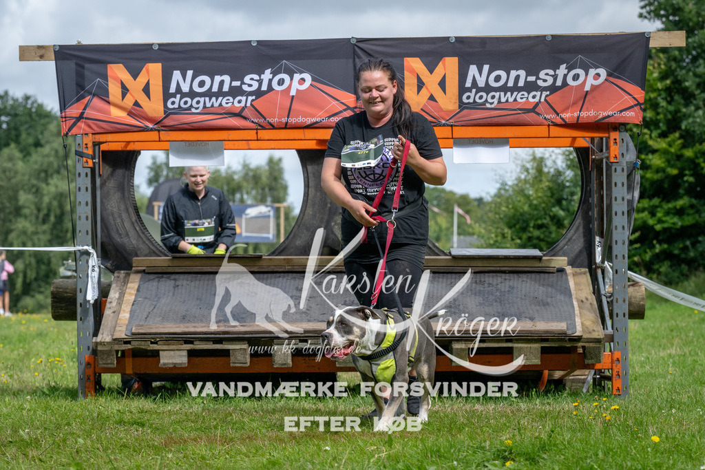 1137_ZZ92822 | kk-dogfotos