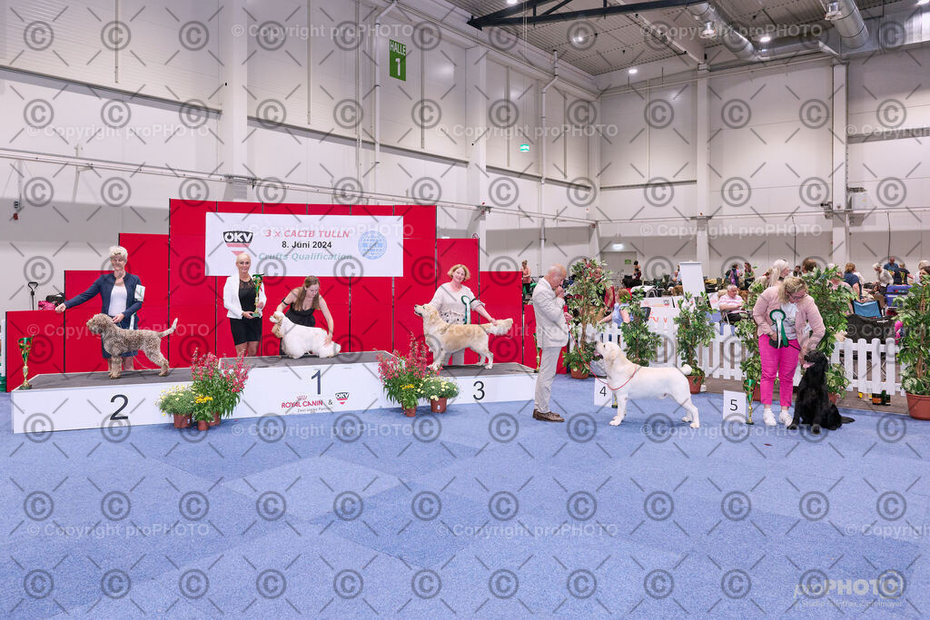 202406_ÖKV-IHA-Tulln24_NZ9_8727 | proPHOTO - Realisiert mit Pictrs.com