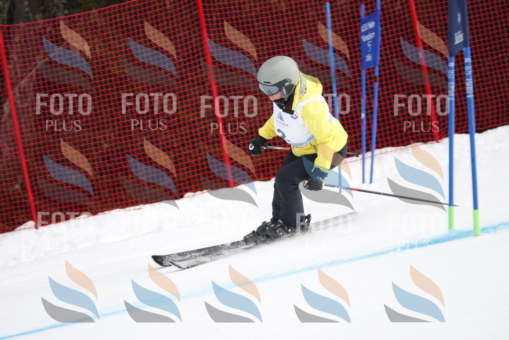 D4580 | holidayphoto