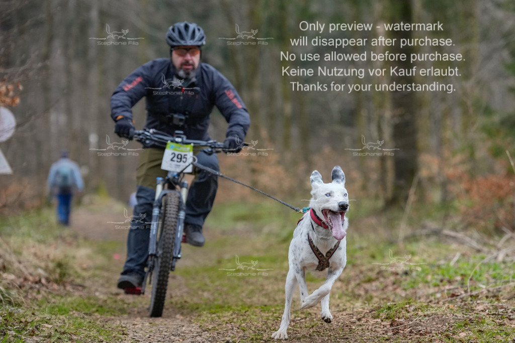 BikekurzSa-63 | stephaniefillaphotographie - Realisiert mit Pictrs.com
