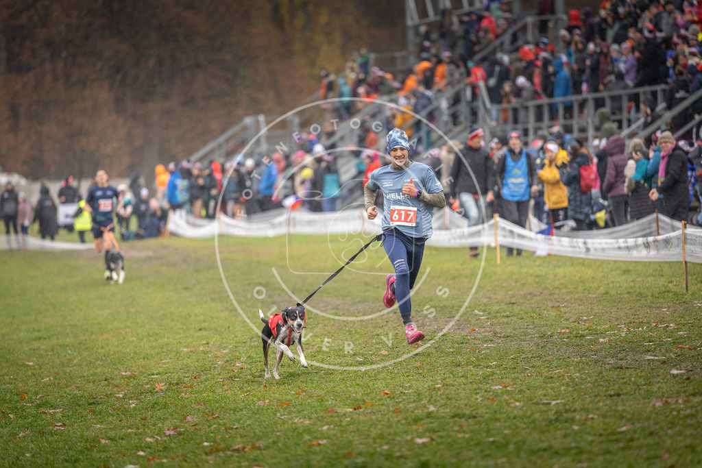 CaniXpix_DV3A0008 | Hundefotografie, Tierfotograf, Pfotenfotografie, Fotoshooting Hund, Hunde Portrait, Hundesport, Hundeportraits, Heideshooting, Hunde, Sportfotograf, Hundefotograf, Turnierhundsport, THS,  - Realisiert mit Pictrs.com