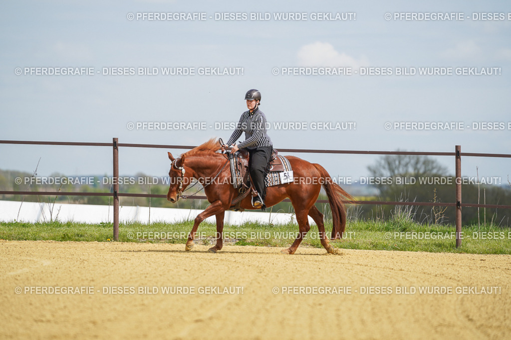 DSC05588 | Pferdegrafie