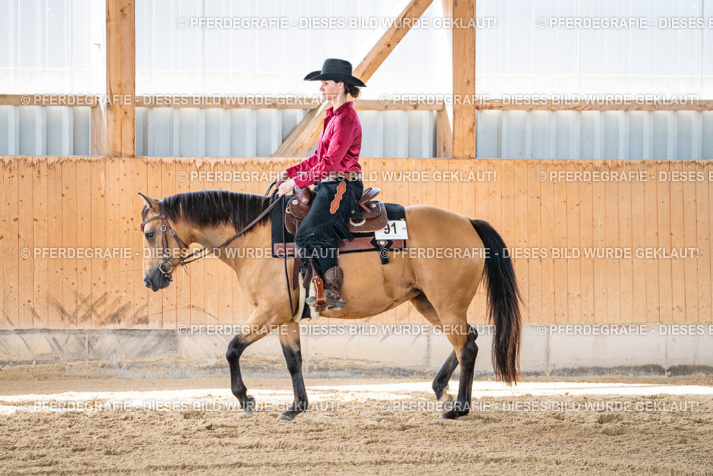 DSC03314 | Pferdegrafie