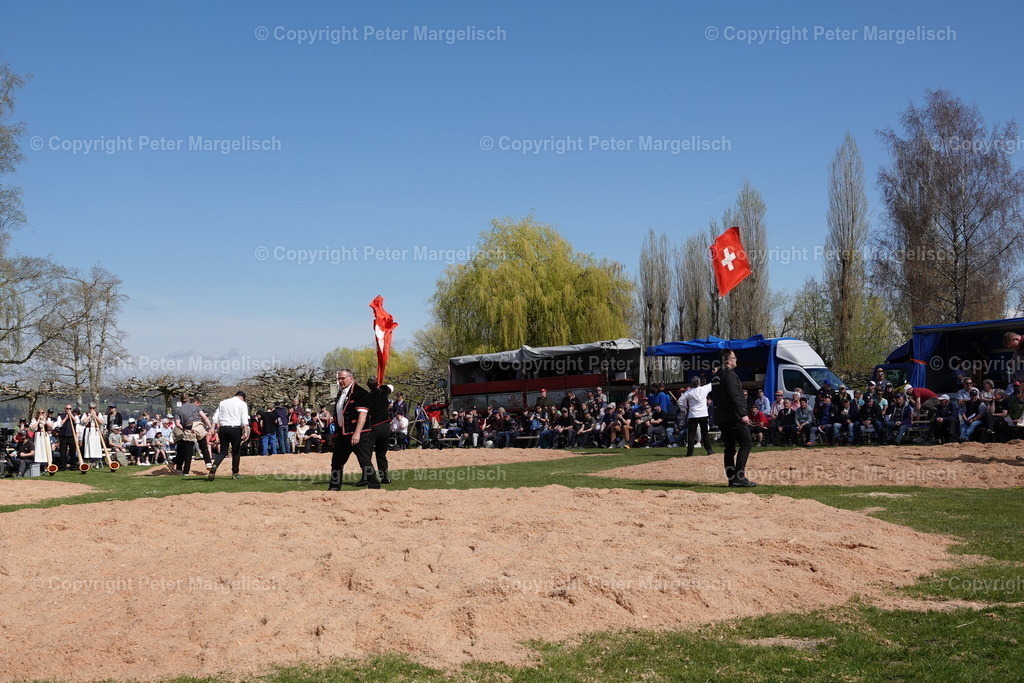 DSC02300 | Schwingen - Realisiert mit Pictrs.com