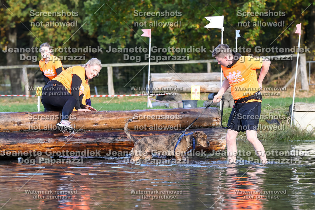 Dog Paparazzi - Strongdog 10-25-8562 | Dog Paparazzi Jeanette Grottendiek Fotografie & Videografie - Realisiert mit Pictrs.com