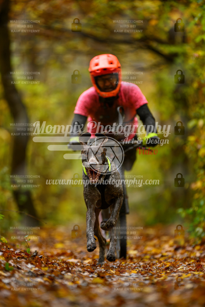 MompixPhotography_CD7S_DI_DS-3 | mompixphotography