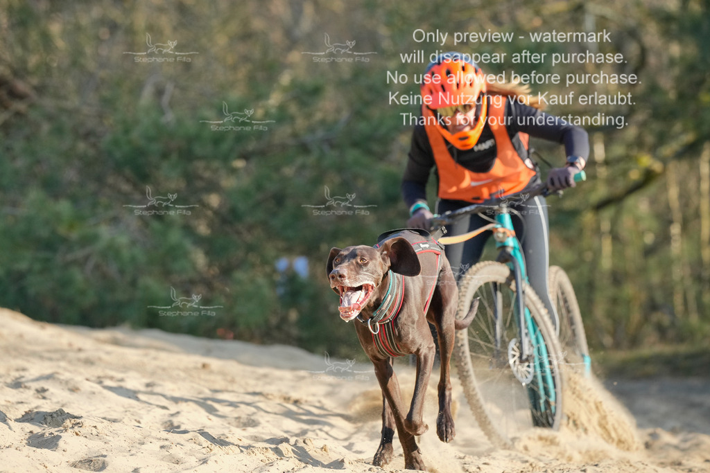 So_Scooter-97 | stephaniefillaphotographie - Realisiert mit Pictrs.com