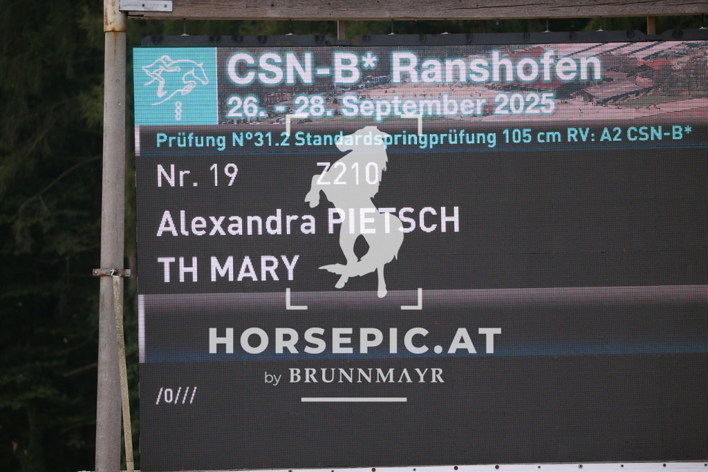 DL2Q6669 | Willkommen bei Brunnmayr - Design & Fotografie – Ihrem Spezialisten für Reitturniere und Pferdeveranstaltungen in Oberösterreich, Salzburg und Bayern! Seit über 17 Jahren sind wir leidenschaftlich dabei.