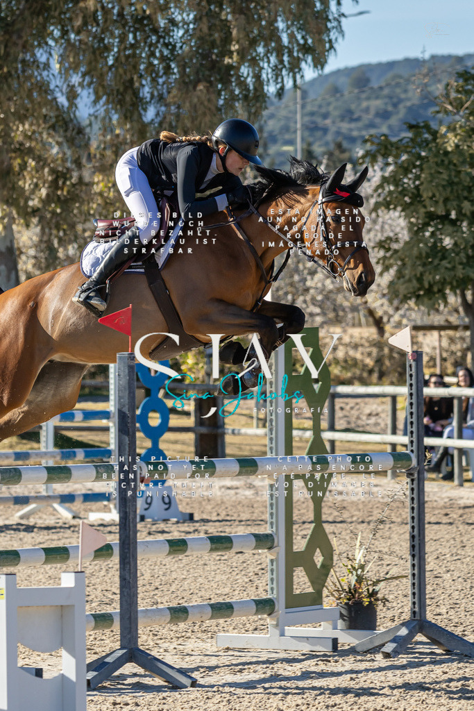 IMG_1826 | s-jay-photography - Realisiert mit Pictrs.com