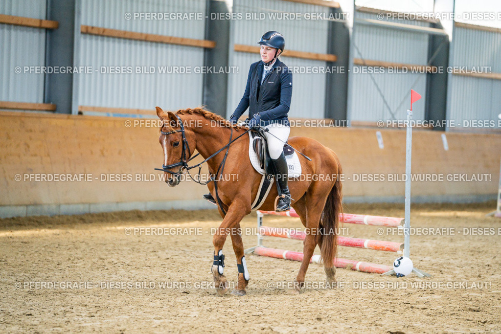 DSC01052 | Pferdegrafie