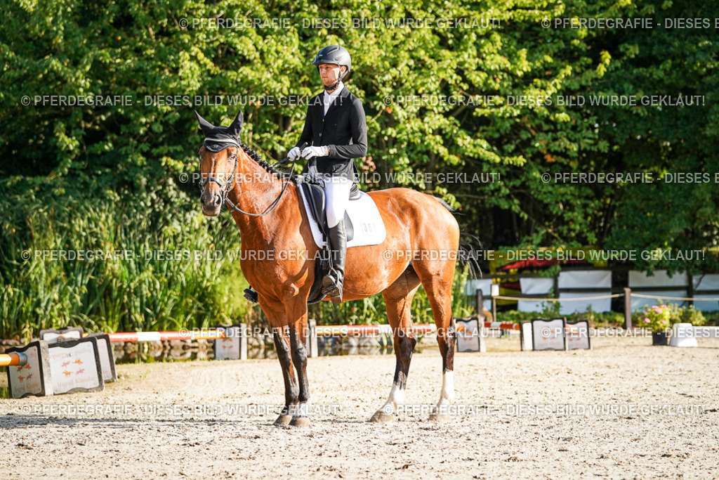 DSC08463 | Pferdegrafie