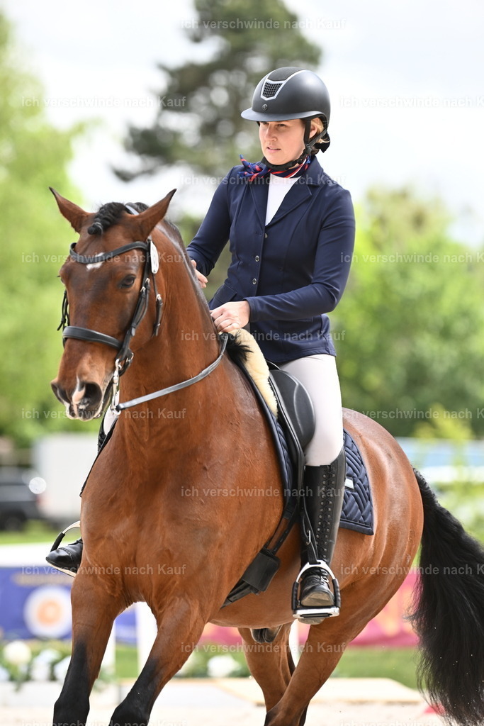 PI26_ST_Sara_Landvogt226_3953.JPG | working equitationturnier fotograf videograf stoibphotography marixx film working equitation deutschland reitsport turnierfotografie eventfotografie equestrian events