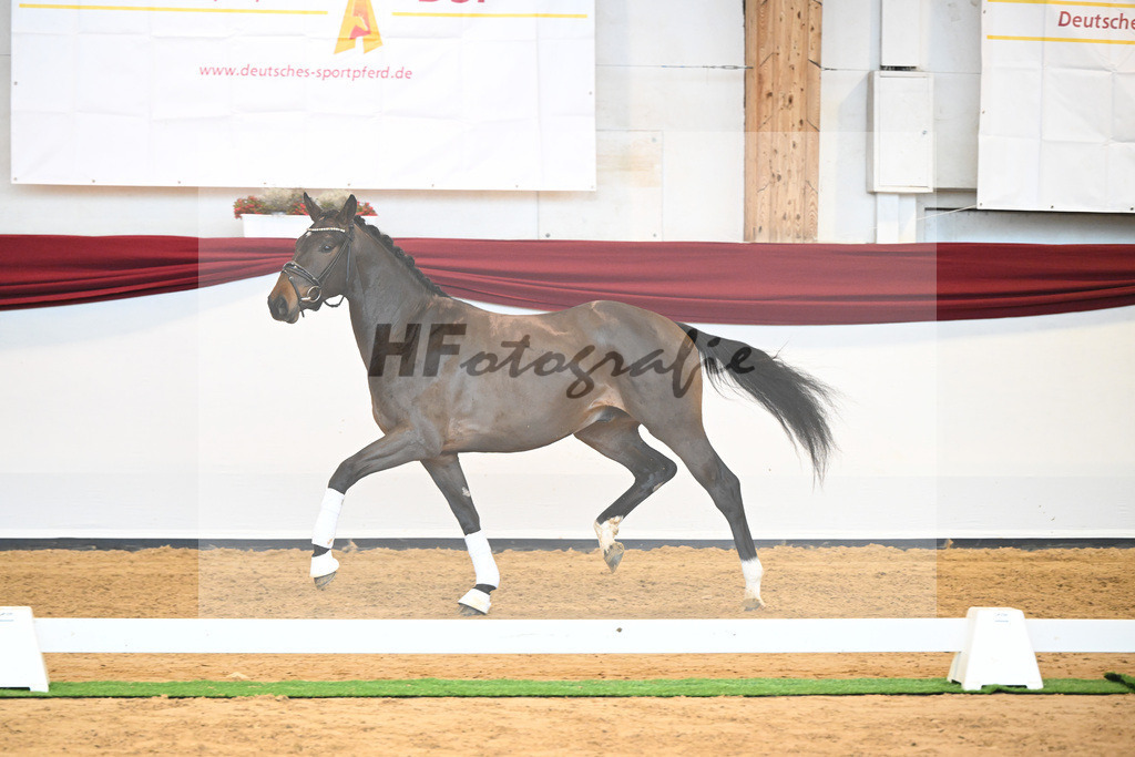 Kat-Nr. 43 v. Mykonos_Sommer_66220967 | hf-fotografie - Realisiert mit Pictrs.com