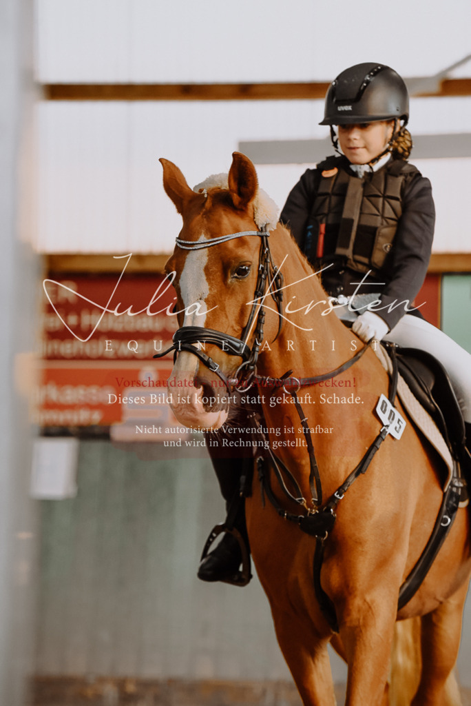 DSC_7443 | Pferde- und Turnierfotografie in Westsachsen. Pferdeportraits, Auftragszeichnungen und intuitive Kunst.