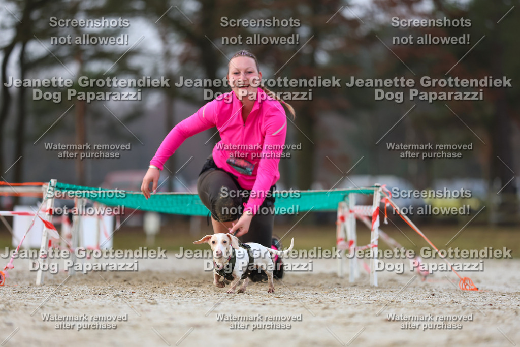 Dog Paparazzi - Strongdog North Mrz26-3671 | Dog Paparazzi Jeanette Grottendiek Fotografie & Videografie - Realisiert mit Pictrs.com