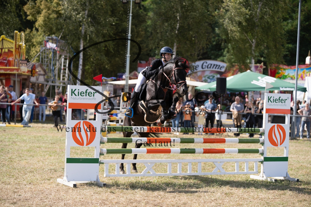 A7V09092 | Pferdefotograf