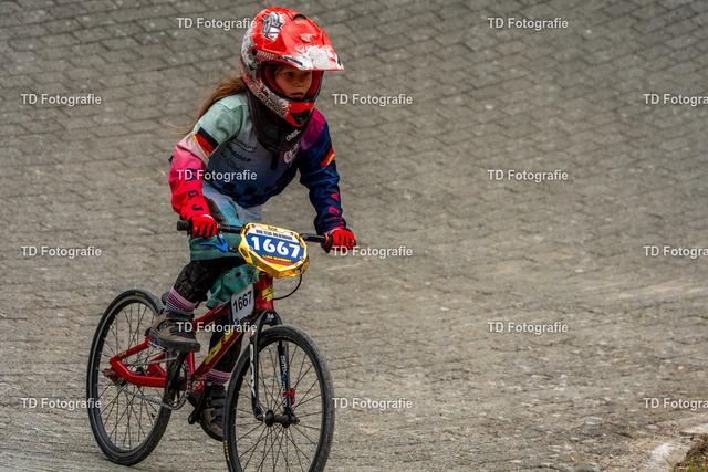 BayBMX2026-05653 | Fotogalerie von Thomas Dettweiler mit Eventbildern und lizenzfreien Fotos. Perfekt als Wandbild, für Büro, Website oder private Nutzung. - Realisiert mit Pictrs.com